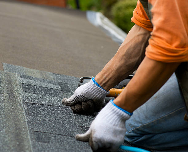 Roof Gutter Cleaning in Story City, IA